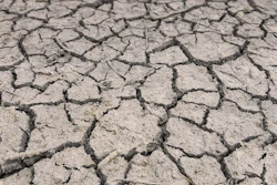 Drought Cracked Dirt