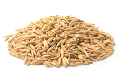 Oats (2)