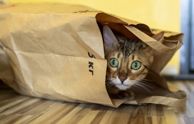 The pet food industry continues to focus on developing eco-friendly packaging options to minimize environmental impact and meet consumer demands for recyclable materials.