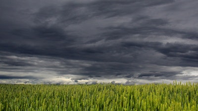 Clouds Over Wheat Feild Pixabay
