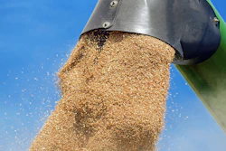 Wheat Harvet Unloading Pixabay
