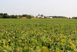 Rrl Soybean Field With Farm Background