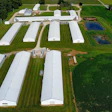 Robinson Farms raises about 500,000-600,000 birds every year in 10 barns.