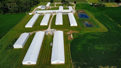 Robinson Farms raises about 500,000-600,000 birds every year in 10 barns.