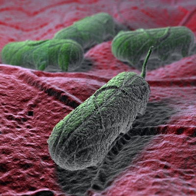 The proposed Salmonella framework for raw poultry products would classify some Salmonella serotypes as adulterants if found on ready-to-cook chicken products and ground turkey.