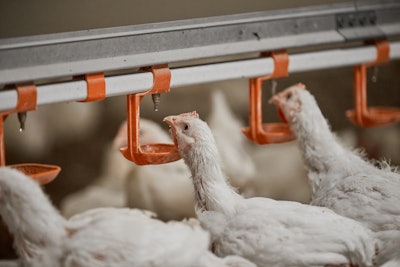 Iff Danisco Animal Nutrition & Health Enviva Duo