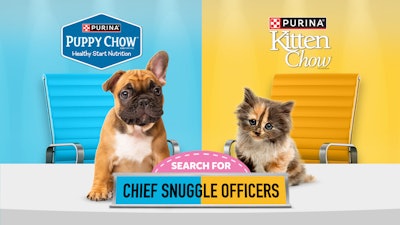 One puppy and one kitten will each receive a $25,000 'salary' to serve as Purina brand ambassadors.