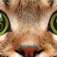 Pet owners are demanding more and more of pet food, making it essential for the pet industry to understand what makes consumers want to spend their hard-earned money.