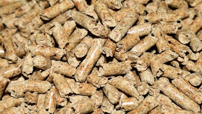 Feed Pellet Pile Closeup Pixabay