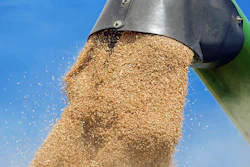 Wheat Harvet Unloading Pixabay