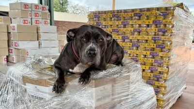 The donation from Wellness Pet was made to support shelters caring for pets affected by the fires.