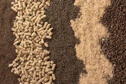 Animal Feed Bkgrnd