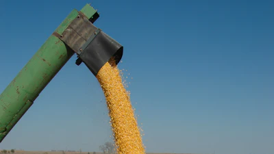 Harvest 3562094