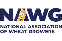 Nawg Vertical Logo Full Color 2