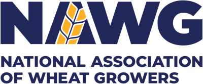 Nawg Vertical Logo Full Color 2