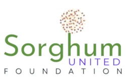 Sorghumunitedfoundation Logo Transparent 300x165