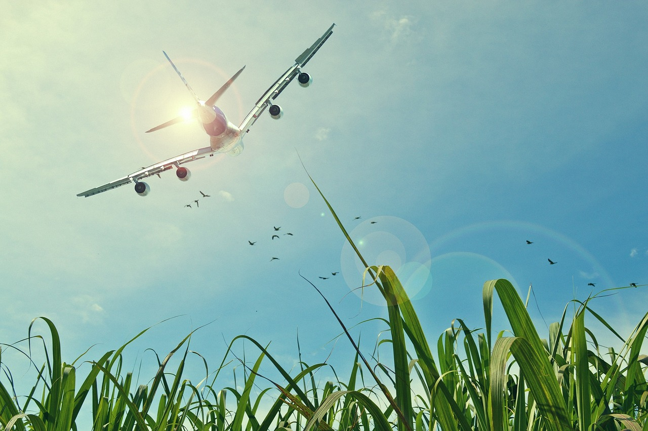 Airplane Over Corn