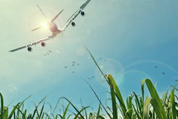 Airplane Over Corn