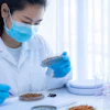 The expiration of a key AAFCO-FDA agreement on Oct. 1, 2024, eliminated a major regulatory pathway for pet food ingredient approvals, which could impact innovation in the industry.