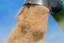 Wheat Harvet Unloading Pixabay