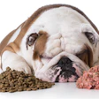 Today's pet food consumers increasingly prefer organic ingredients that have undergone minimal processing.