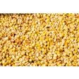 Bulk Corn Close Up