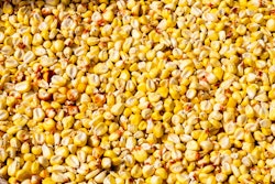 Bulk Corn Close Up