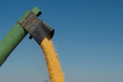 Harvest 3562094