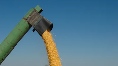 Harvest 3562094