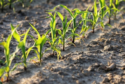 Agriculture 4262872 1280