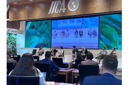 Alicia Iica Panel