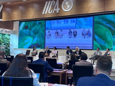 Alicia Iica Panel