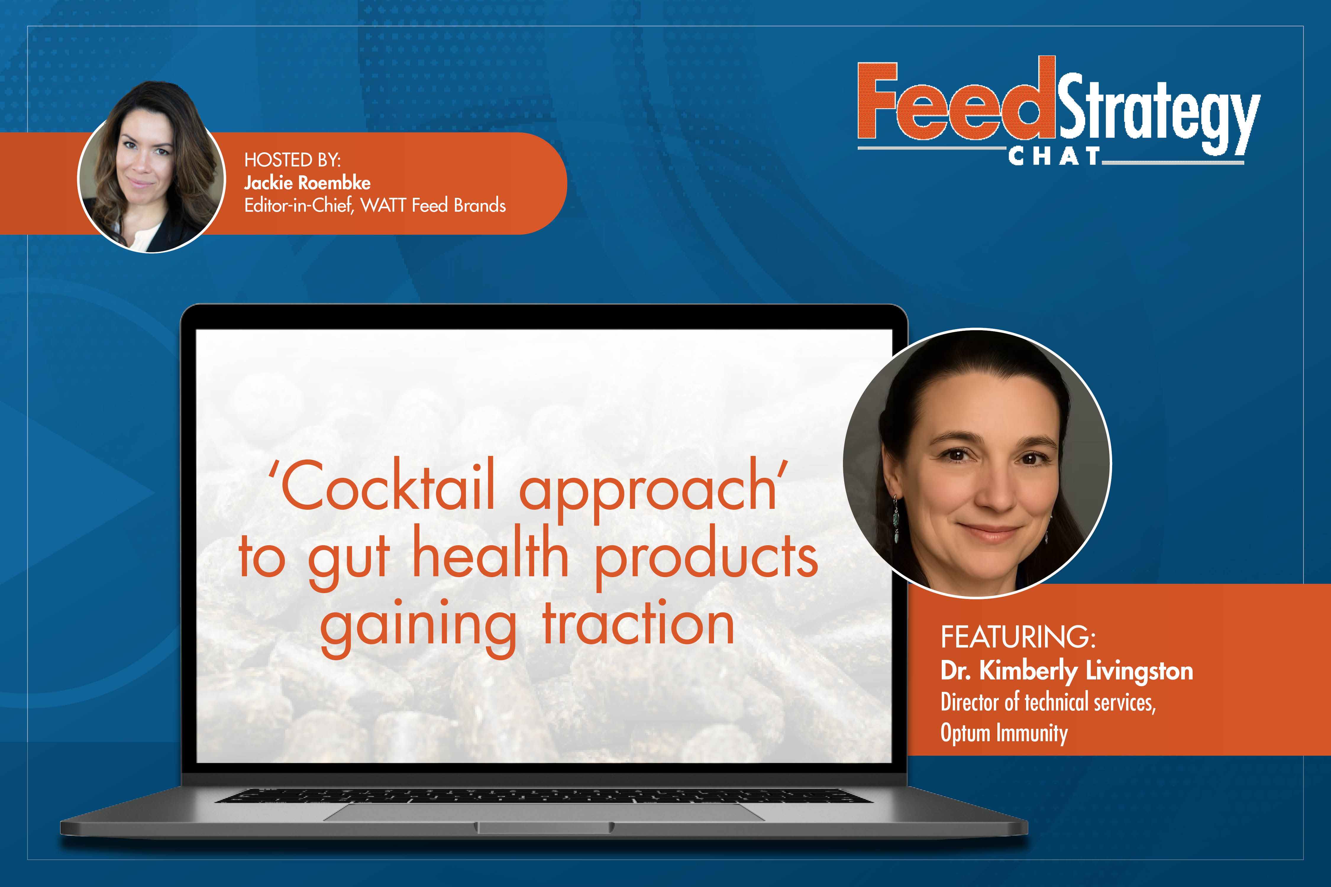Feed Strategy Chat webinar on gut health product innovations