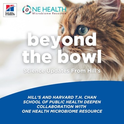 Cat with blue eyes representing Hill's microbiome science and nutrition research