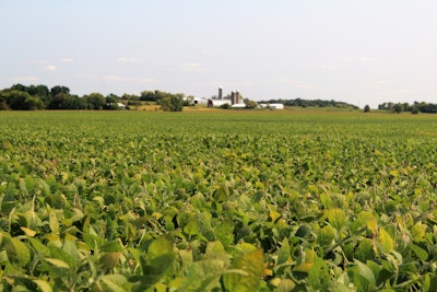 Rrl Soybean Field With Farm Background