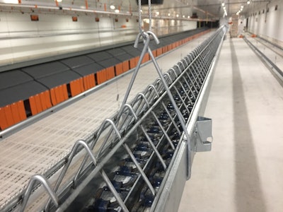 Big Dutchman Duo Chain Female Chain Feeding System