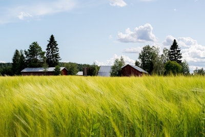 Field Farm Pixabay