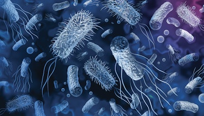 Salmonella Bacteria Header