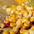 Corn Kernels