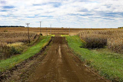 Dirt Road 5668104 1280
