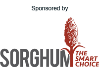 Sorghum: The Smart Choice logo with red graphic element