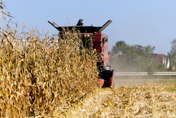Corn Being Harvested Pixabay
