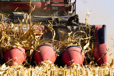Corn-harvester