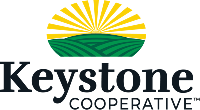 Logo Keystone