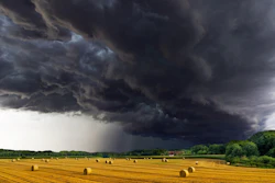 Storm Over Farm
