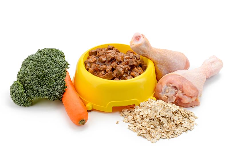 Based off the FDA's GRAS Notice program, the SRIS program is designed to provide the animal food industry with an additional option for introducing new and innovative products to the market.