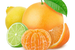 Assorted citrus fruits: orange, lemon, lime, and peeled mandarin with green leaf