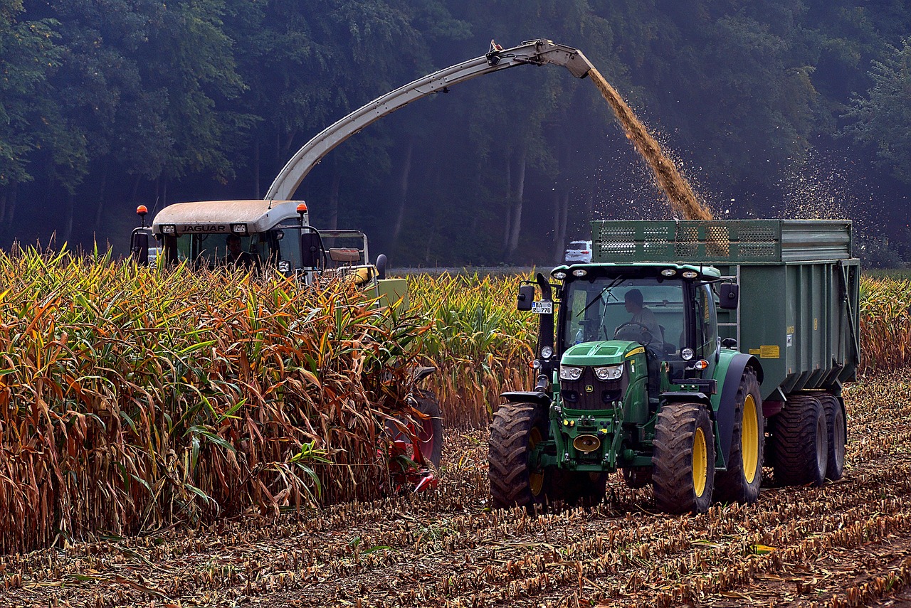 Corn Harvest 5596982 1280