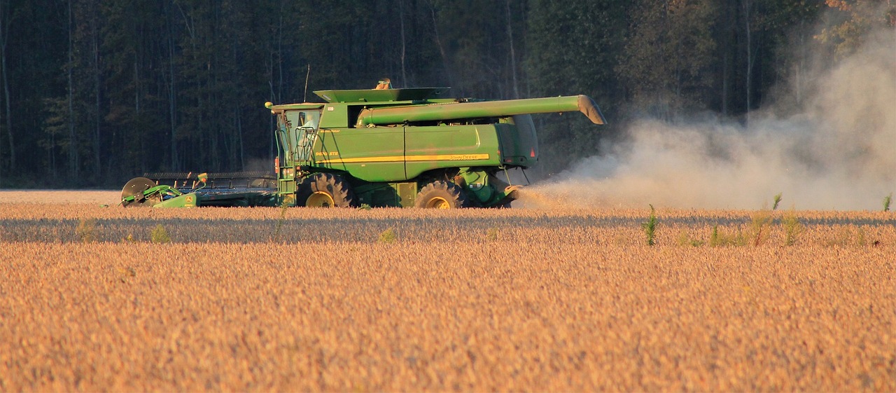 Harvest Soybeans Sideview Pixabay
