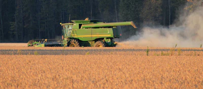 Harvest Soybeans Sideview Pixabay